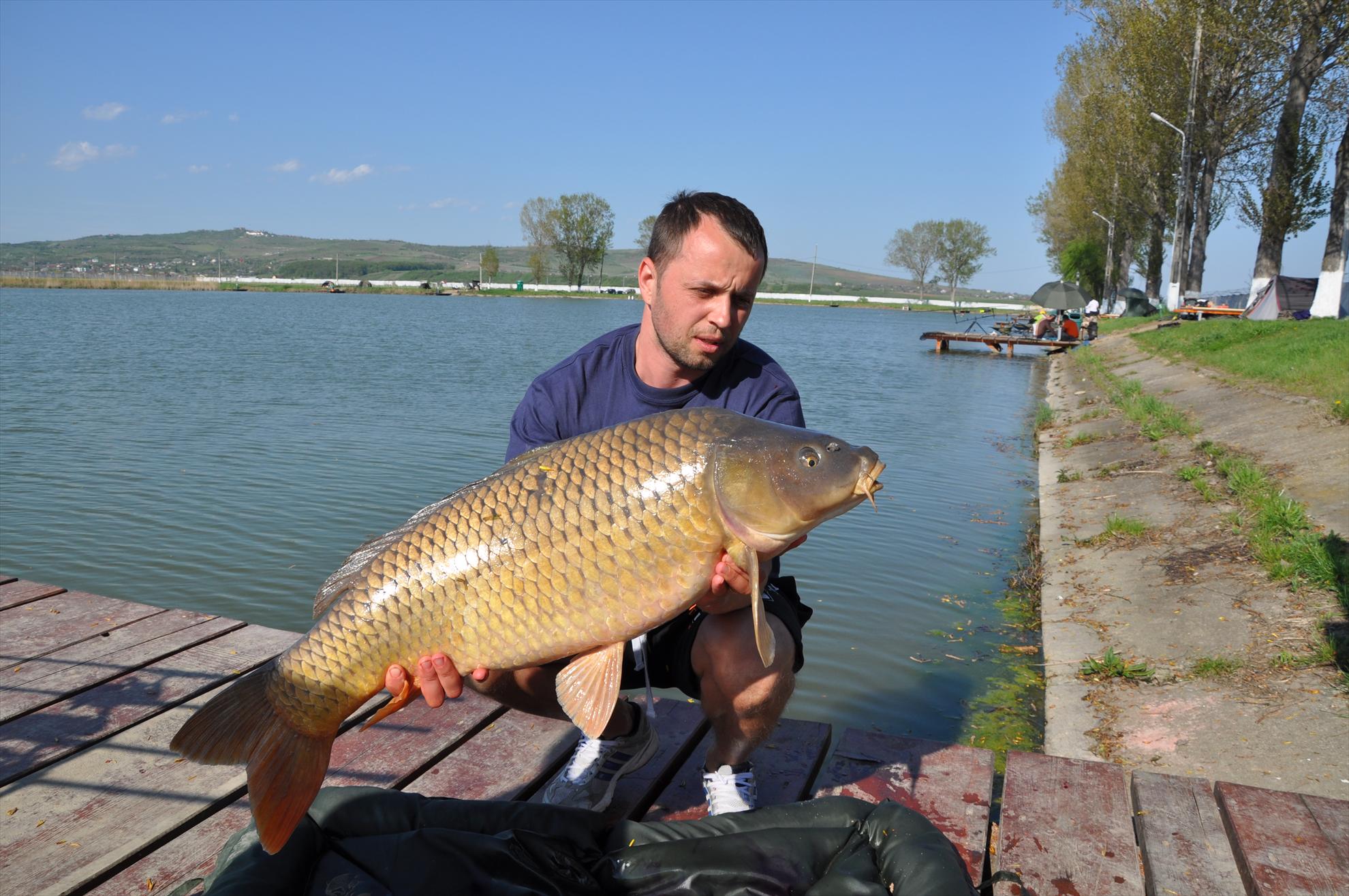 Capturi 2013 - Pleasa - dsc0724.JPG